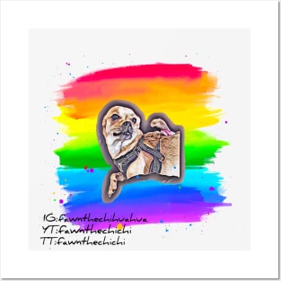 Adorable Pride Chihuahua Posters and Art